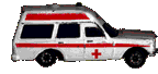 Ambulan2.gif (10759 byte)