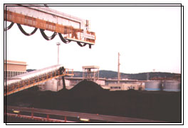 coal, sampling, draft survey, chemical analyses