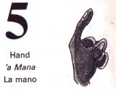 5 - la mano