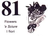 81 - I fiori