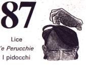 87 - I pidocchi