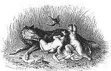 She wolf, engraving