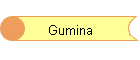 Gumina