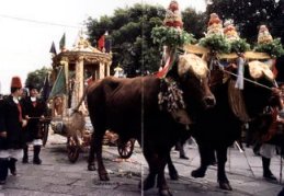 Immagine del cocchio durante la processione del primo maggio, nella via Roma a Cagliari