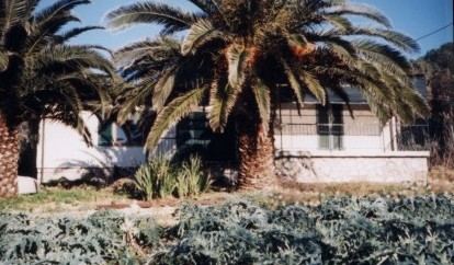 Casa Mimosa lato owest Isola d'Elba