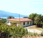 Casa Mimosa e Casa Nuova appartamento procchio Elba island