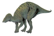 Anatosauro