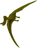 Pterodattilo-Pterosauro-Pterodattilo-Rettile volante