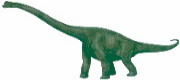 Brachiosauro-Rettili-Diapsidi-Arcosauri-Saurischi-Sauropodi-Brachiosauri-Vegetariano-Quadrupede