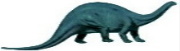 Apatosauro-Saurischi-Sauropodo-Vegetariano-Quadrupede-Pi conosciuto con il nome di Brontosauro