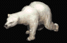 Orso bianco dell'Alaska-Con il tronco e capo massicci, arti brevi e coda celata dal lungo mantello riducono la dispersione della grande quantit di calorie assunte