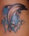 Tatuaggi Delfini