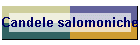 Candele salomoniche