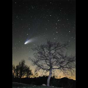 cometa.jpg (9460 byte)