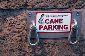 Cane parking