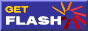 scarica Flash 4.0!