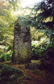 Il menhir di Roch'ar Lein immerso nel bosco, raggiungibile solo a piedi, rievoca le trame di antichi guerrieri