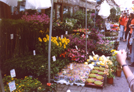 Il colorato mercato dei fiori sulle barche