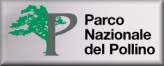 www.parcopollino.it