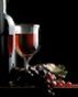 Wines - Vino